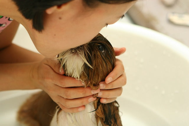 🐾 Celebrating Best Friends Day with Your Furry Companion – June 8 - girl kissing pup taking bath